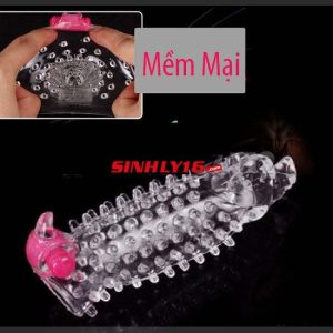 BAO CAO SU ĐÔN DÊN ĐẦU RỒNG CÓ GAI VÀ RUNG PHÊ TÊ TÁI – DON1